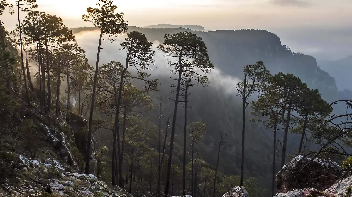 Sierra de Manatlán